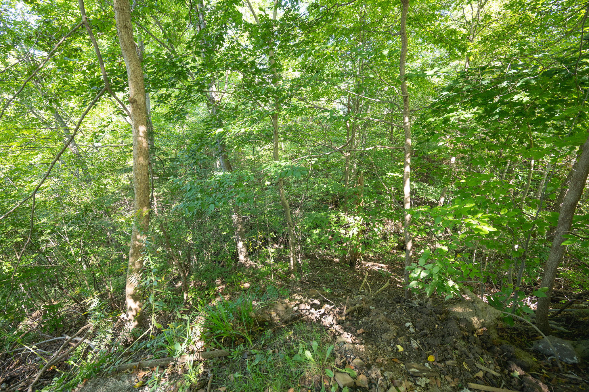  Photo 40