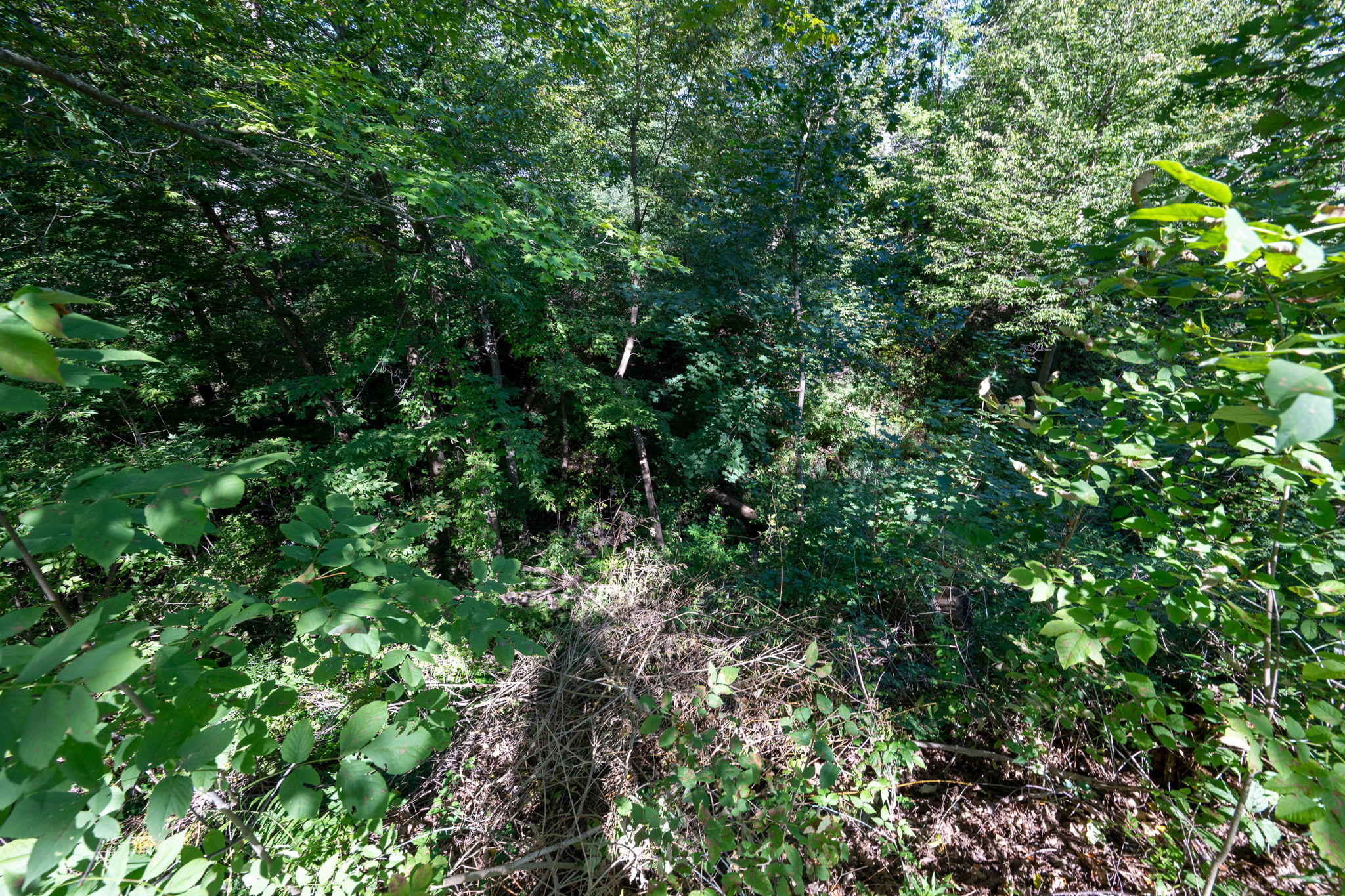 Photo 45