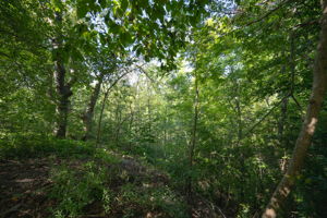  Photo 40