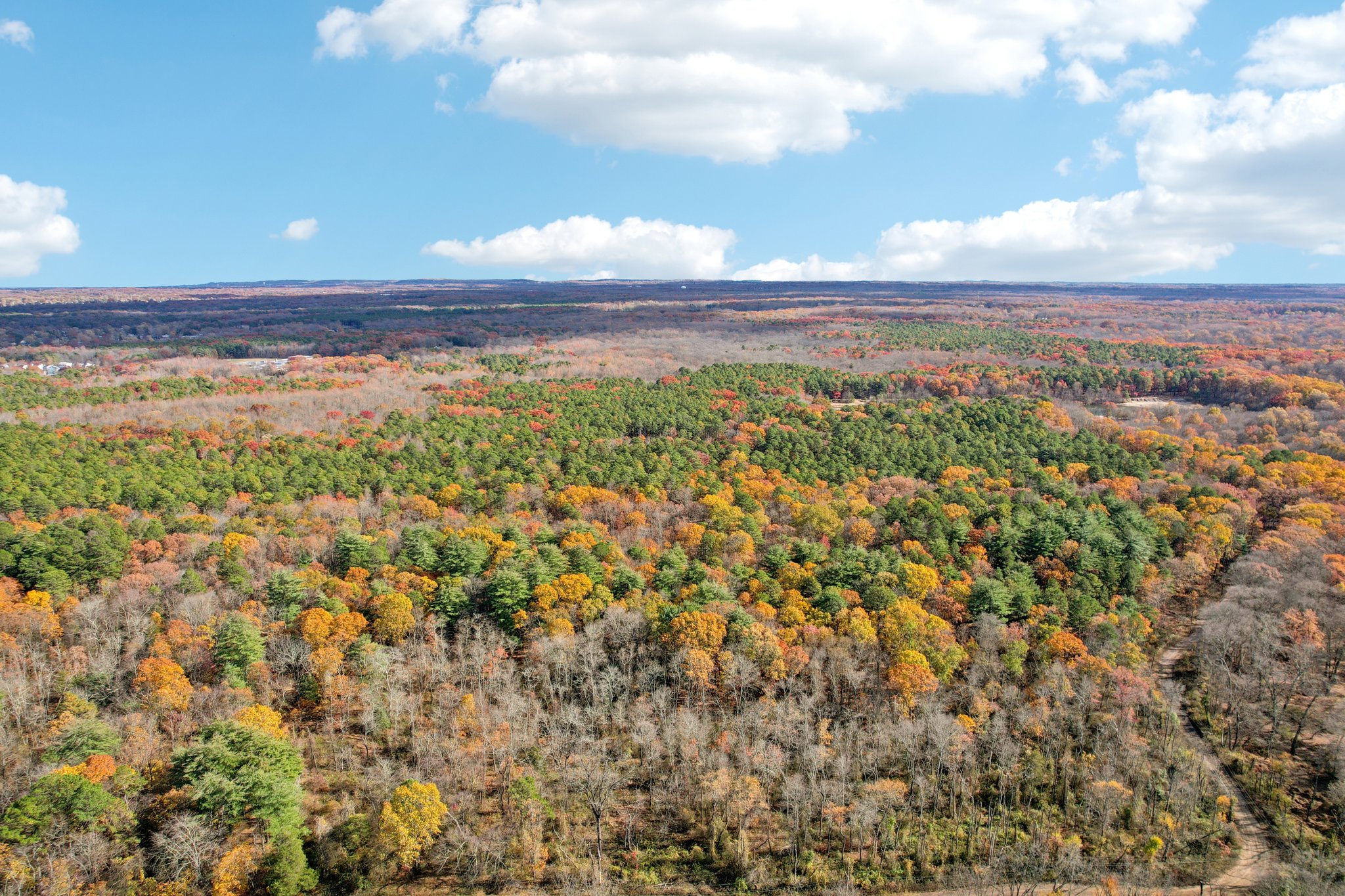 Fernhead Ave-S0711-059.jpg