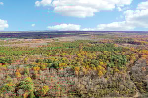 Fernhead Ave-S0711-059.jpg