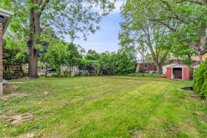58-backyard1