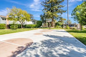 044_102 Peach Willow Ct