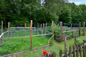  Photo 41