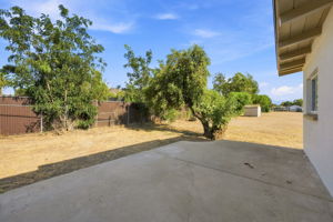  Photo 39