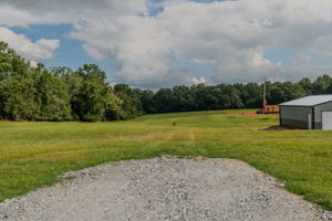  Photo 46