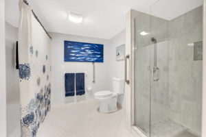 Master Tub and Shower