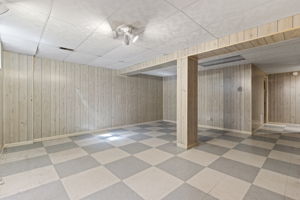 Lower Level Recreation Area