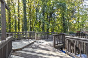 Rear Deck