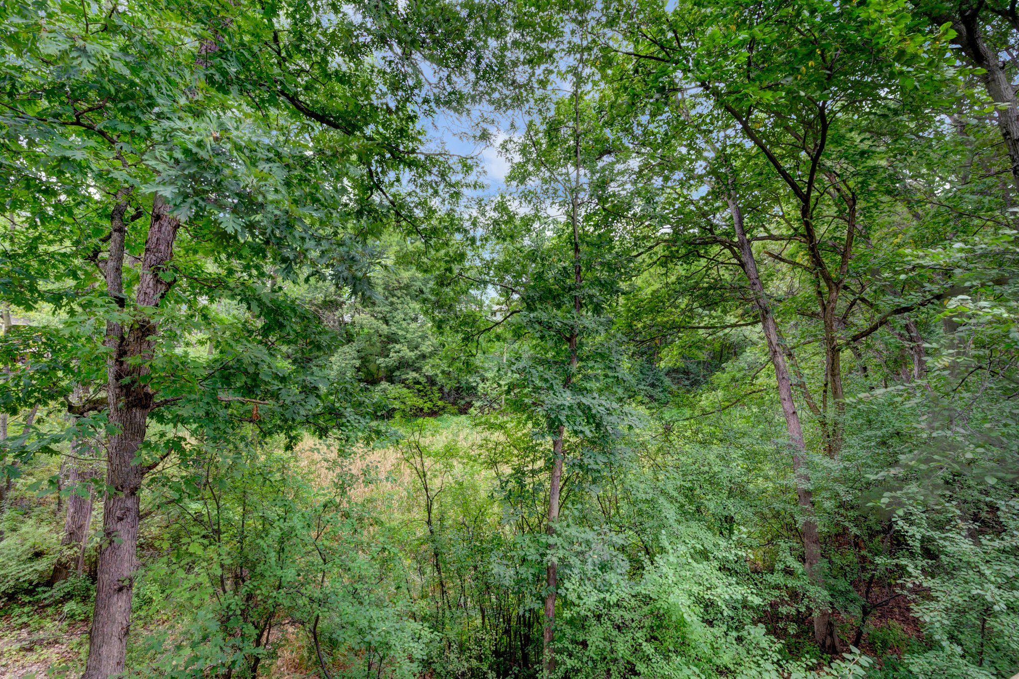 10200 176th St W, Lakeville, MN 55044, USA Photo 9