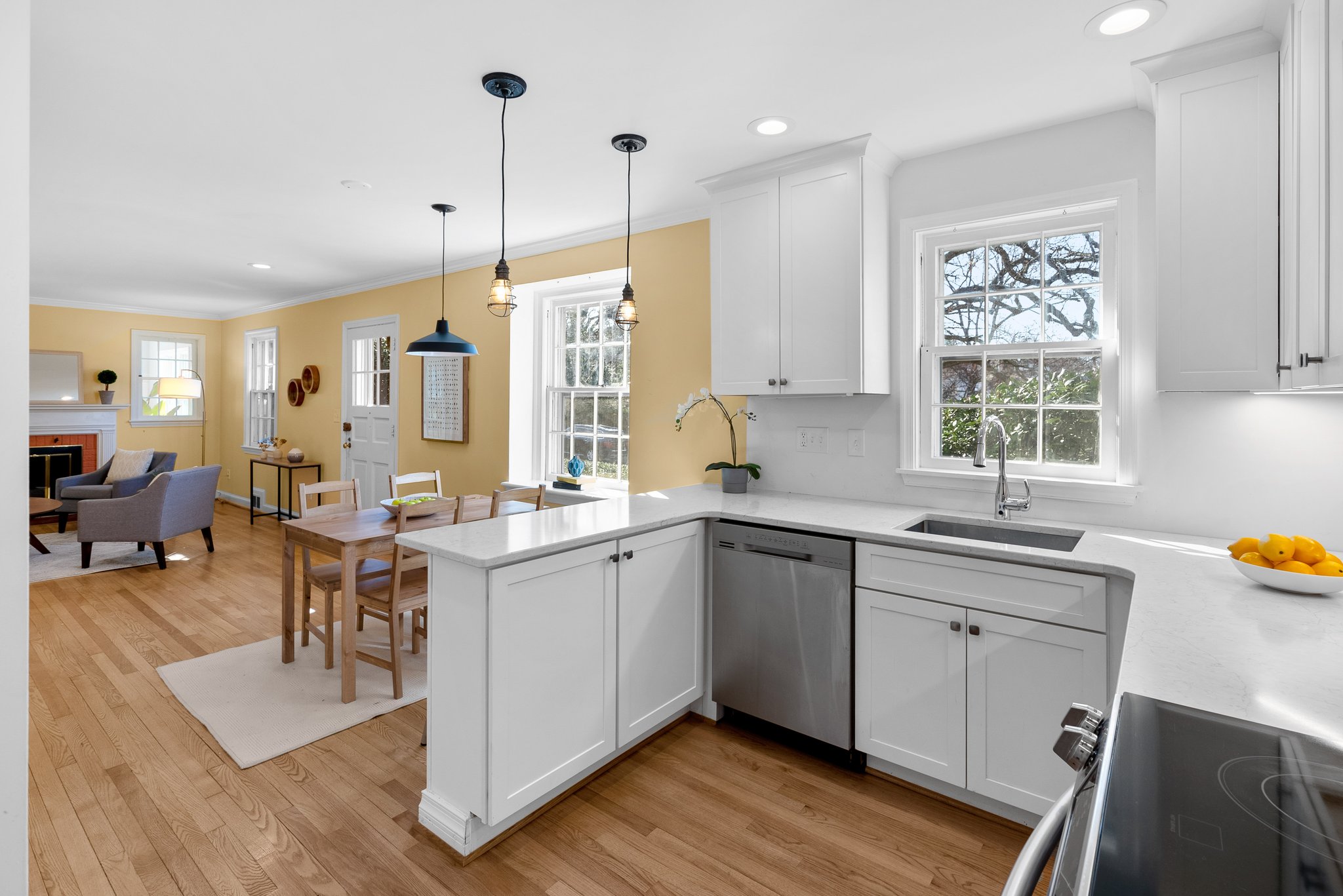 16. 10207 Cherry Tree Ln.jpg