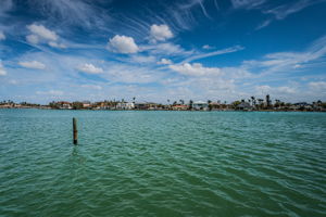 Dock19 View