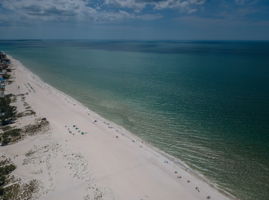 Aerial (13)