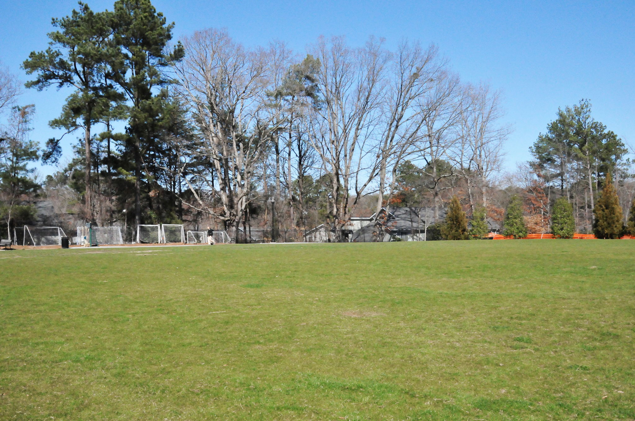  Photo 40