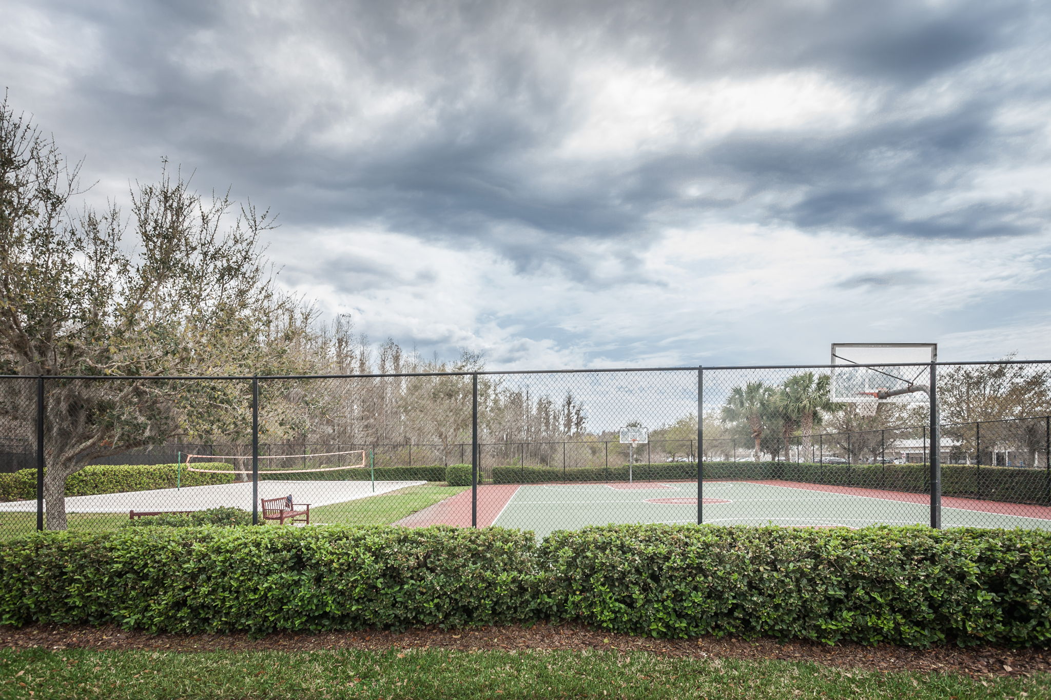 Basketball1