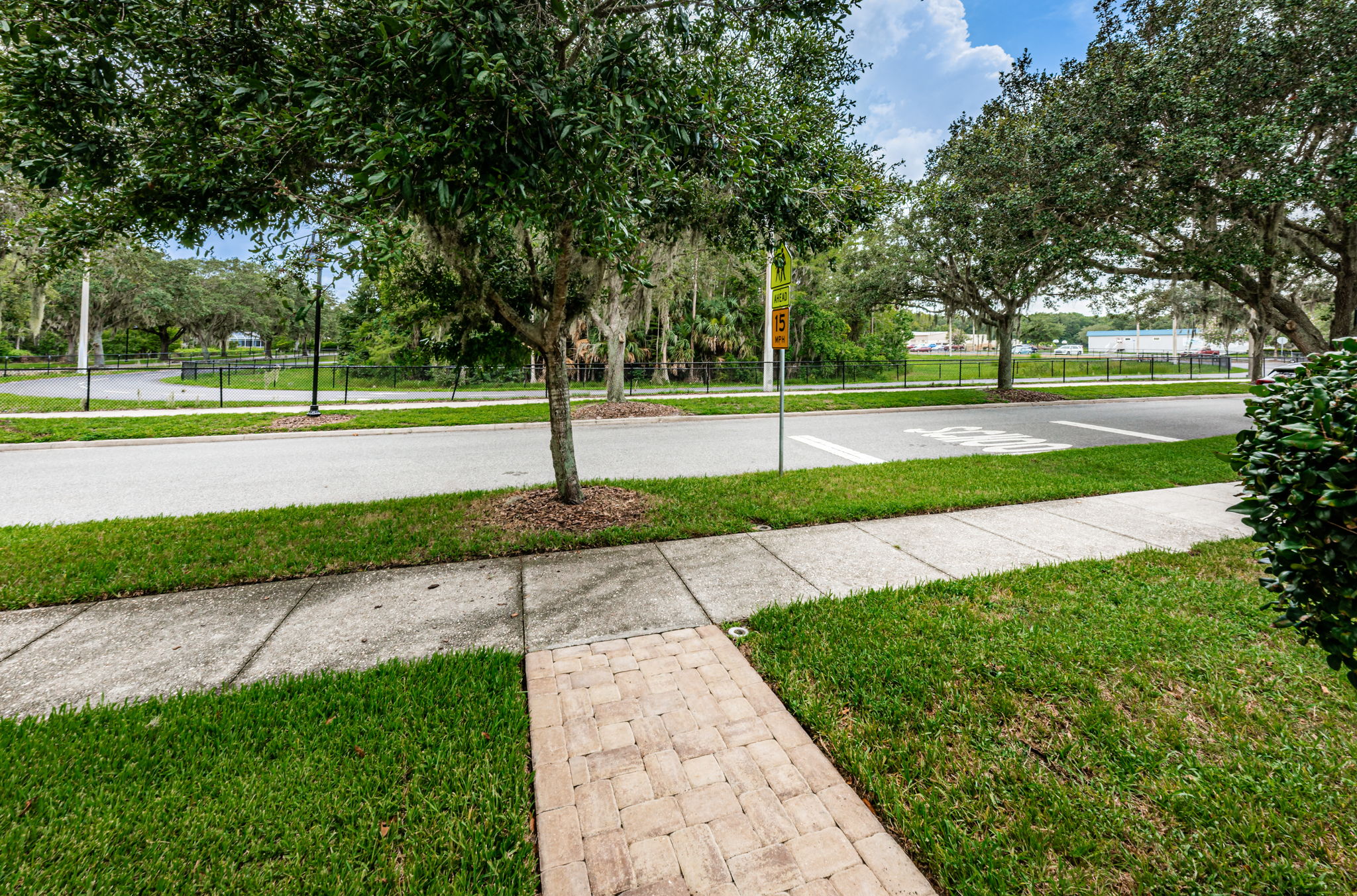 Frontyard2