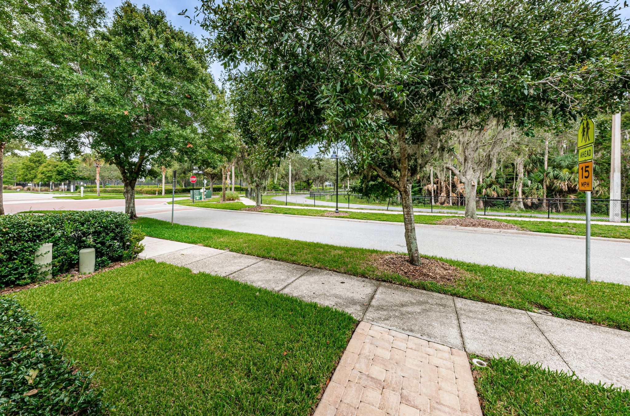 Frontyard1