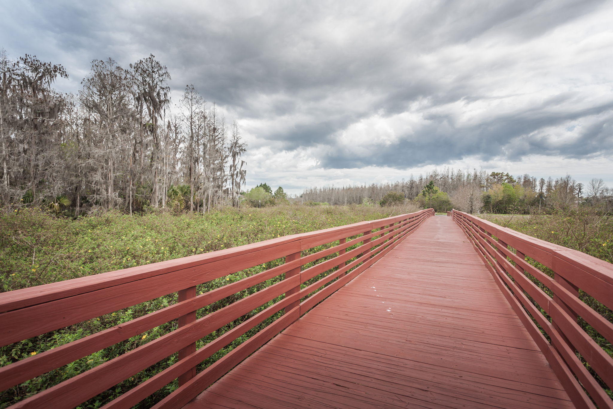 Bridge3