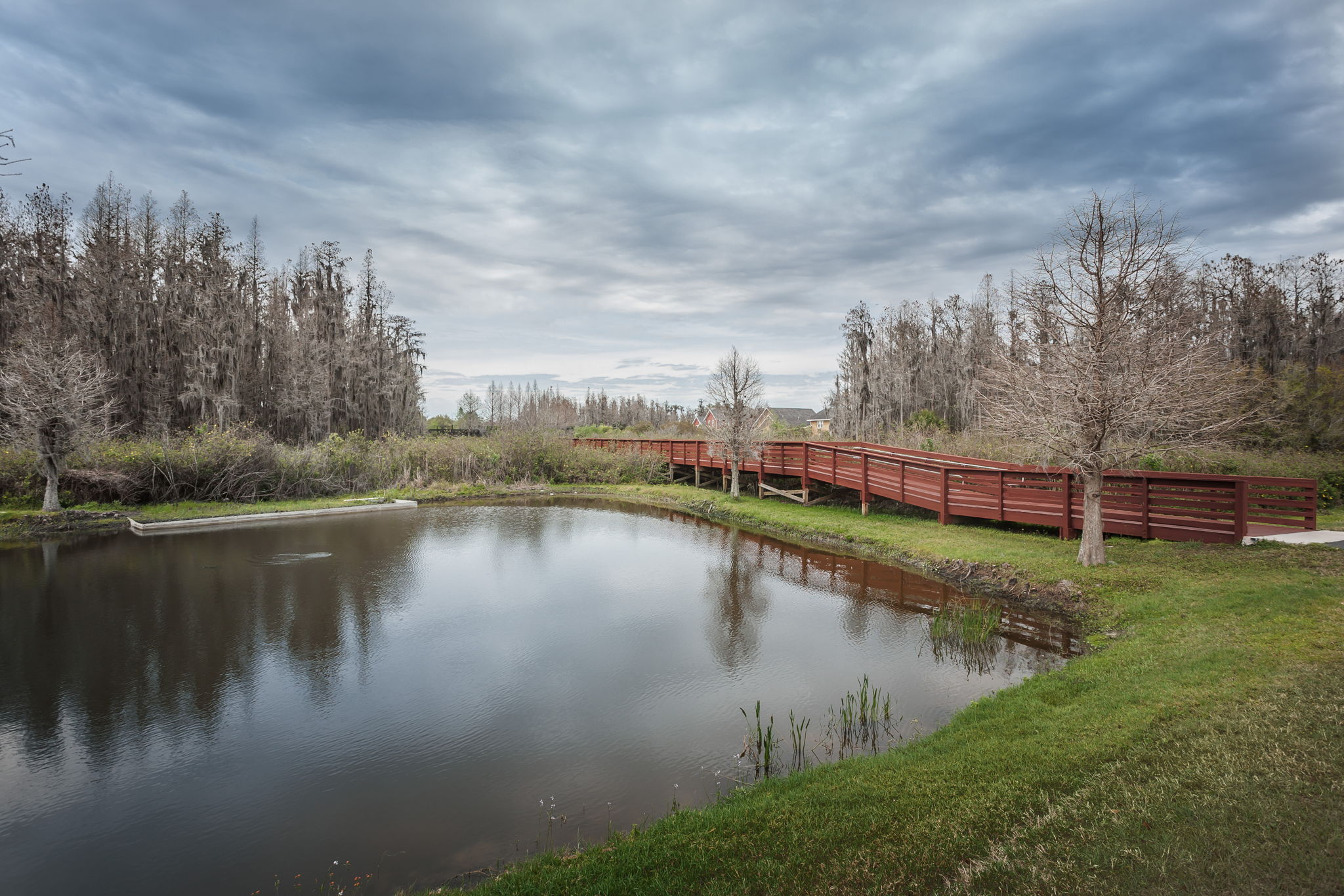 Bridge1