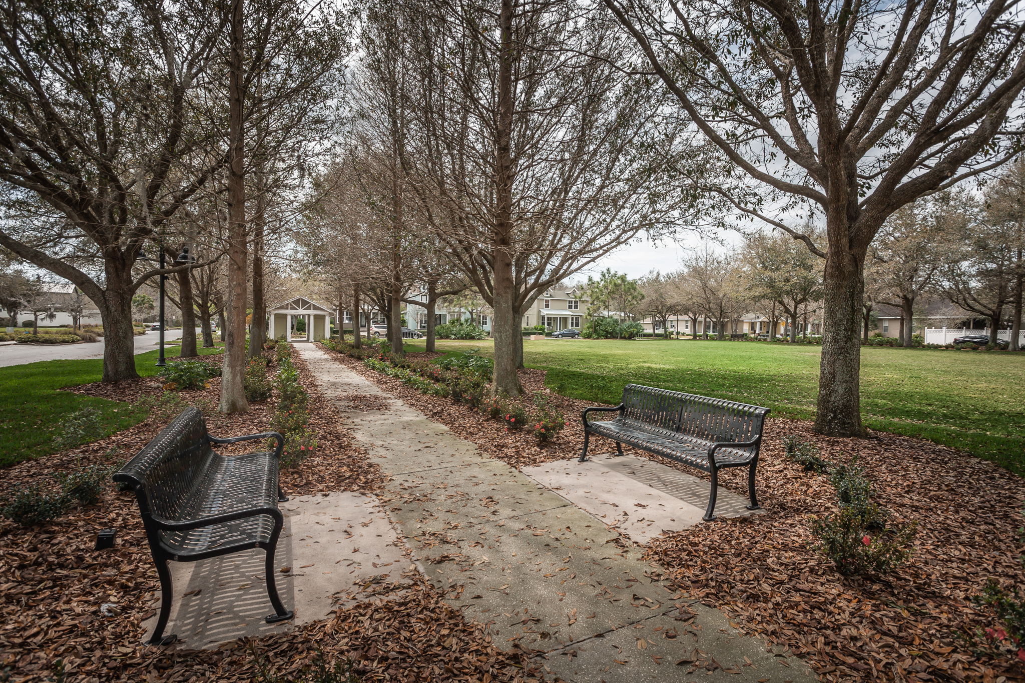 Town Hall Green2