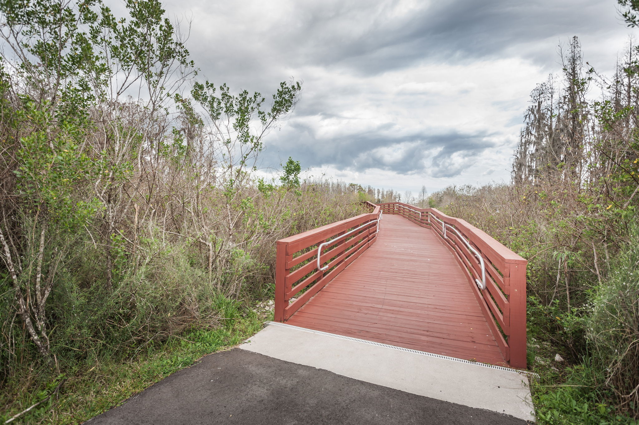 Bridge2