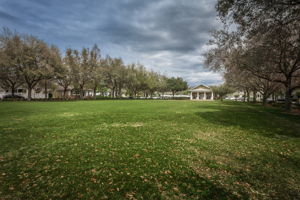 Town Hall Green1