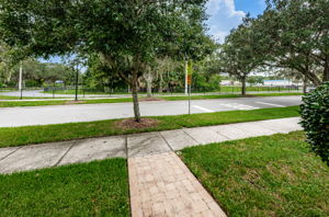 Frontyard2