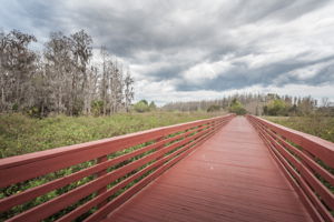 Bridge3