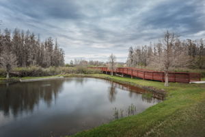 Bridge1