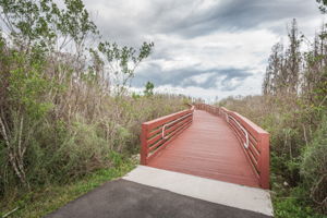 Bridge2