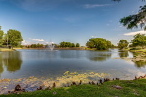 127-about-waterview-neighborhood-rowlett-tx