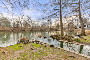 The pond has ducks, and the trees are full during the spring and summer, so it looks a lot better in the next season, around the corner!