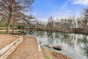 View of the ducks in the Lindshire pond