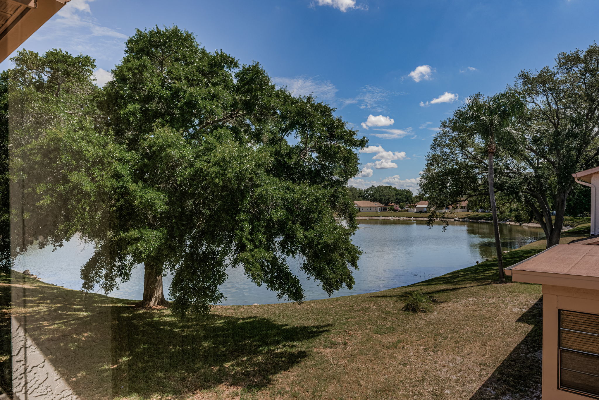 Pond 1