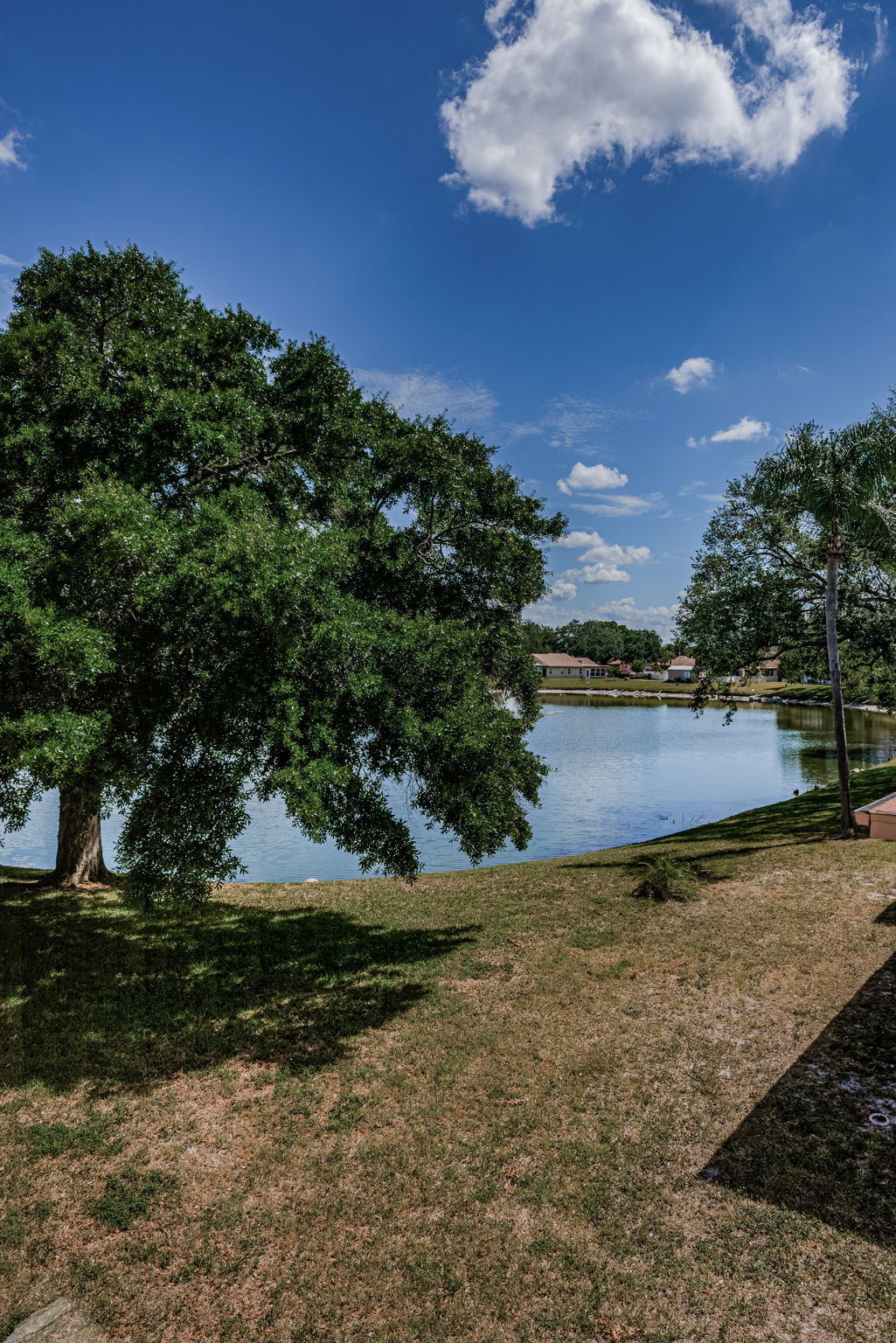 Pond 2