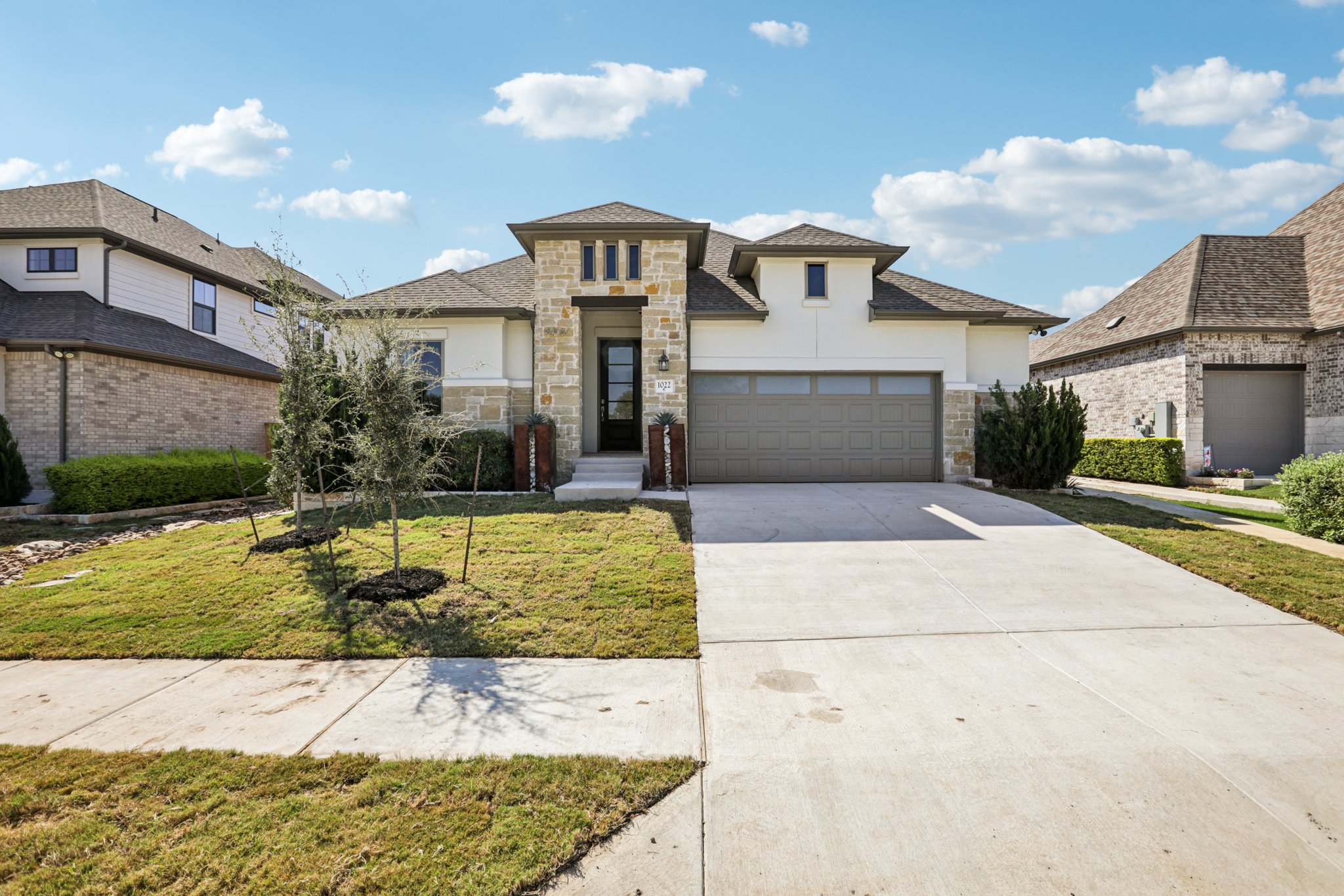 Texas Ash Ln-S0110-002.jpg