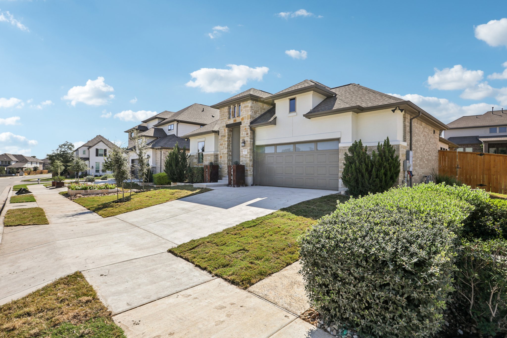 Texas Ash Ln-S0110-004.jpg