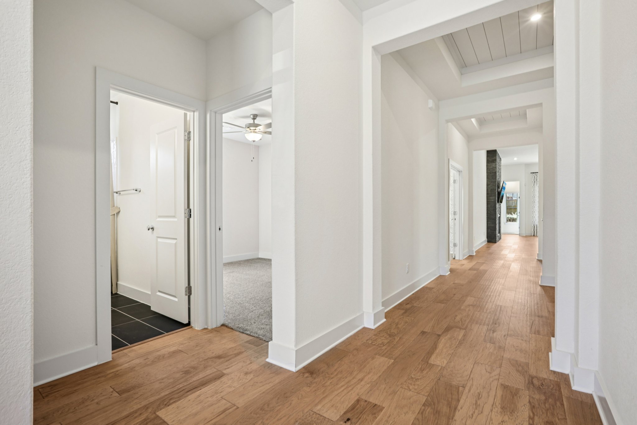 Texas Ash Ln-S0110-010.jpg