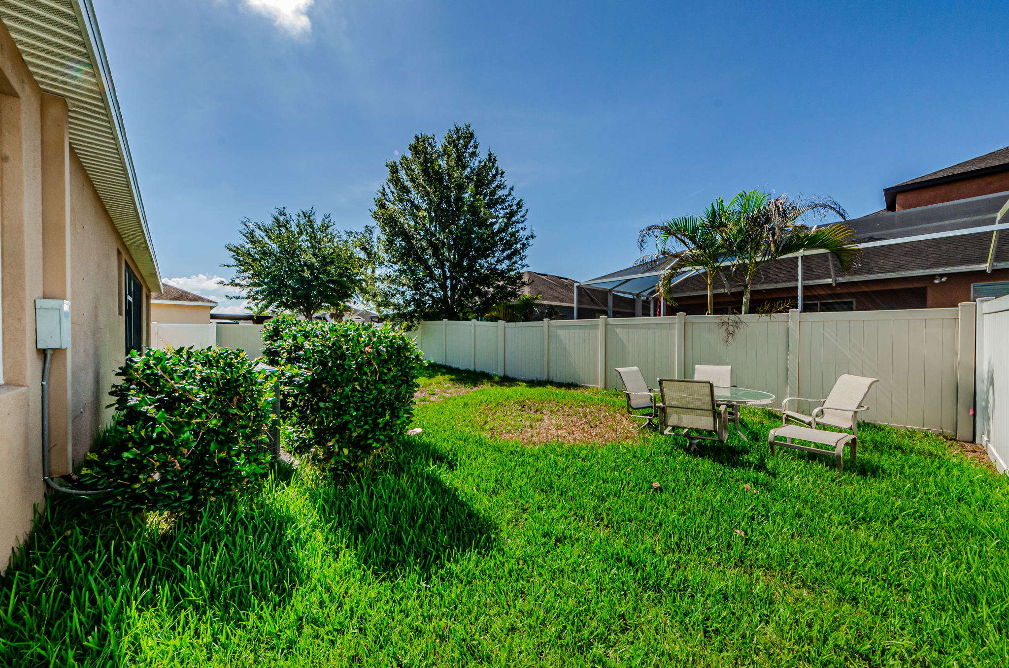 Backyard 4
