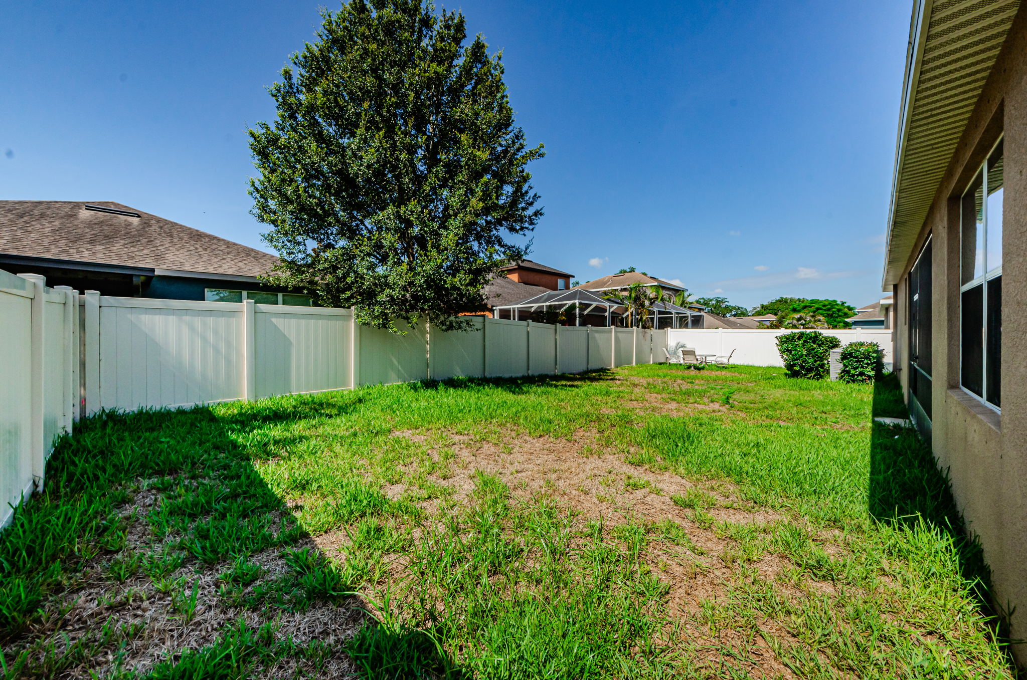 Backyard 1