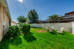 Backyard 4
