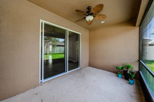 Patio 3