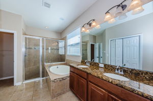 Master Bathroom 1a