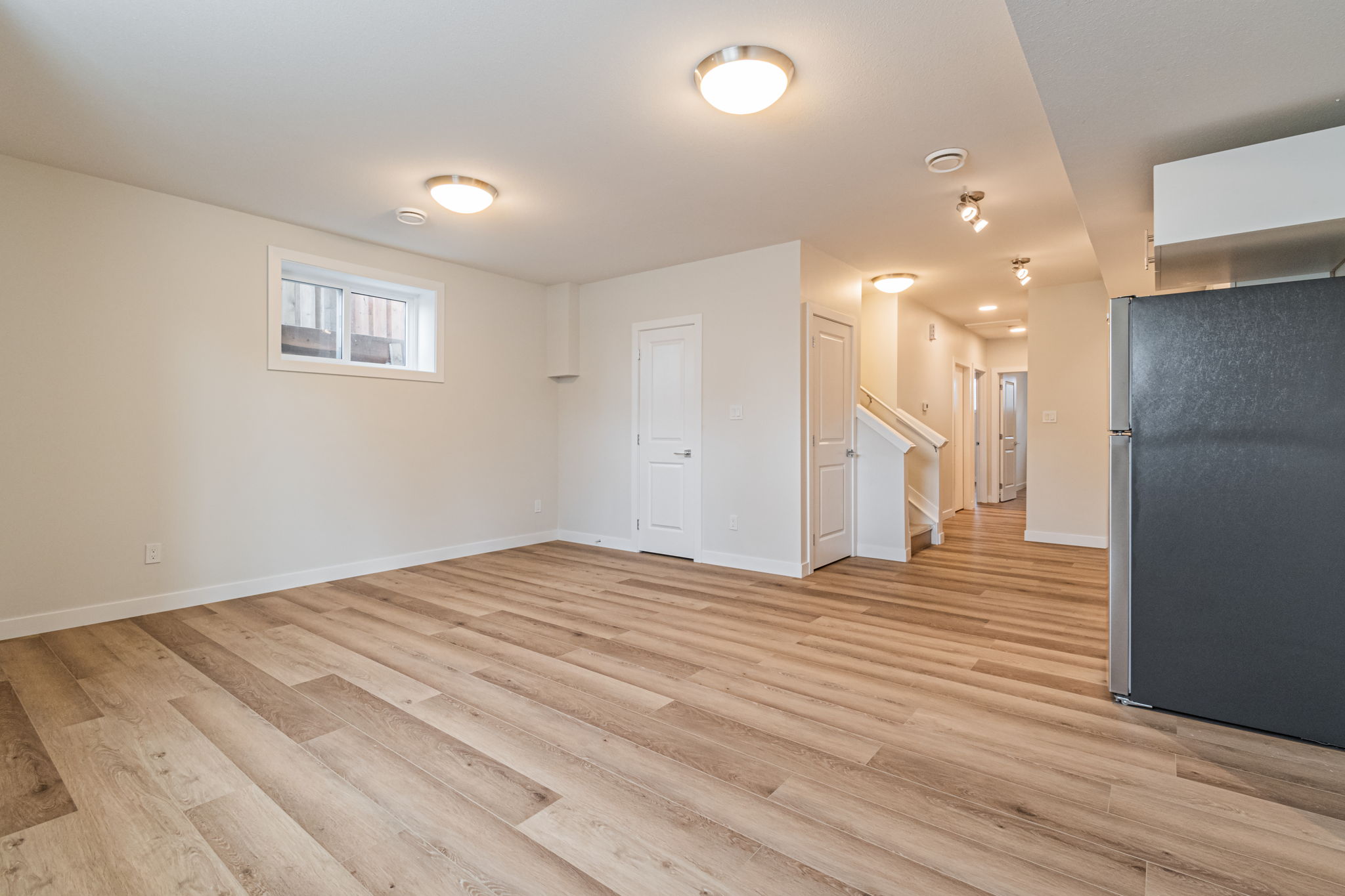 Basement Living/Dining Room