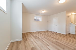 Basement Living/Dining Room