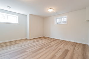 Basement Living/Dining Room