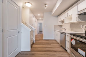 Basement Kitchen