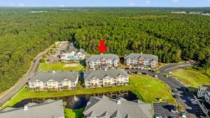 Drone View of building facing wetlands