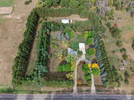  Photo 44