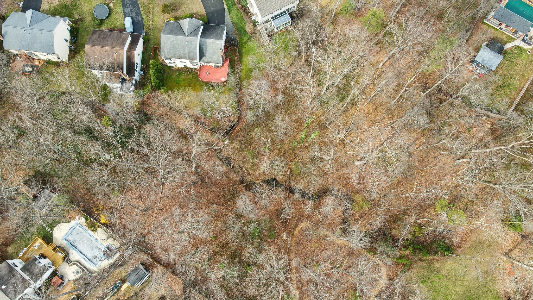 DJI_0050.jpg